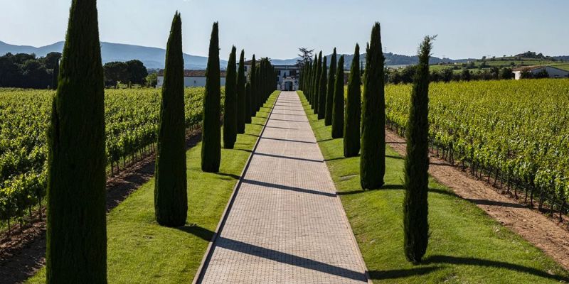 Penedes wine tasting tour