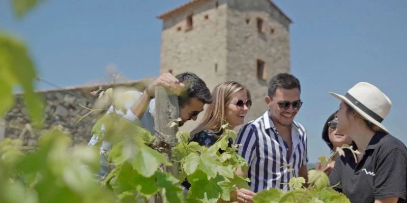 Barcelona Private Tour Guide Reviews