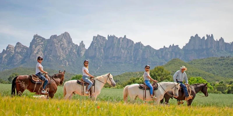 What is a Tailor-Made Tour?