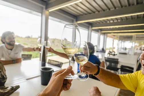 The best cava tours from Barcelona