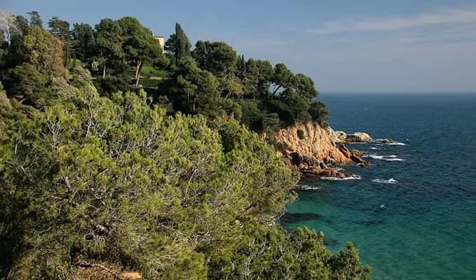 The 11 best coves in Catalonia: Wild Barcelona