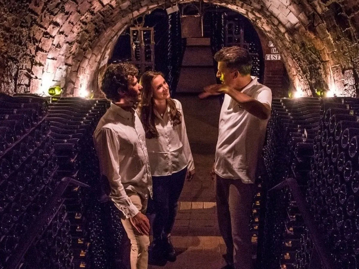 Cava: Barcelona's sparkling wine and where to try it