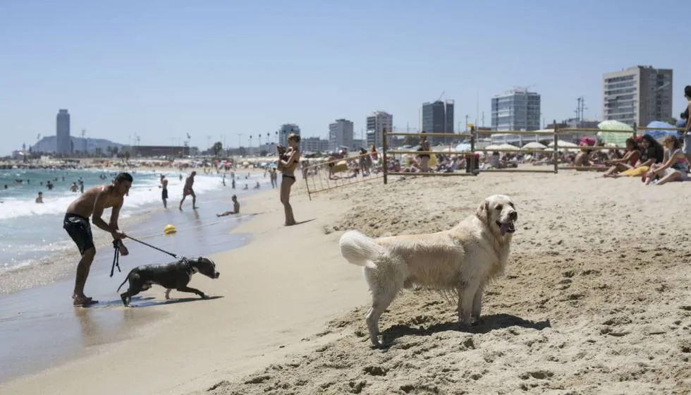 Llevant beach Barcelona