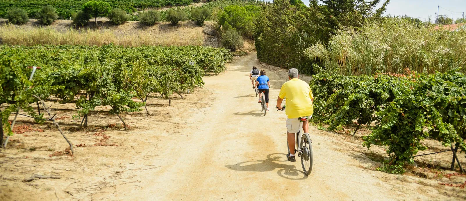 Walking and trekking routes in Barcelona