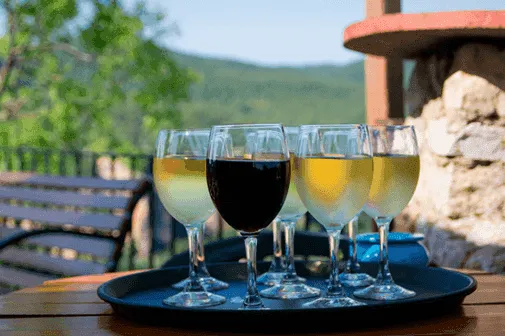 Wine and cava tasting in Barcelona! What do you need to know?