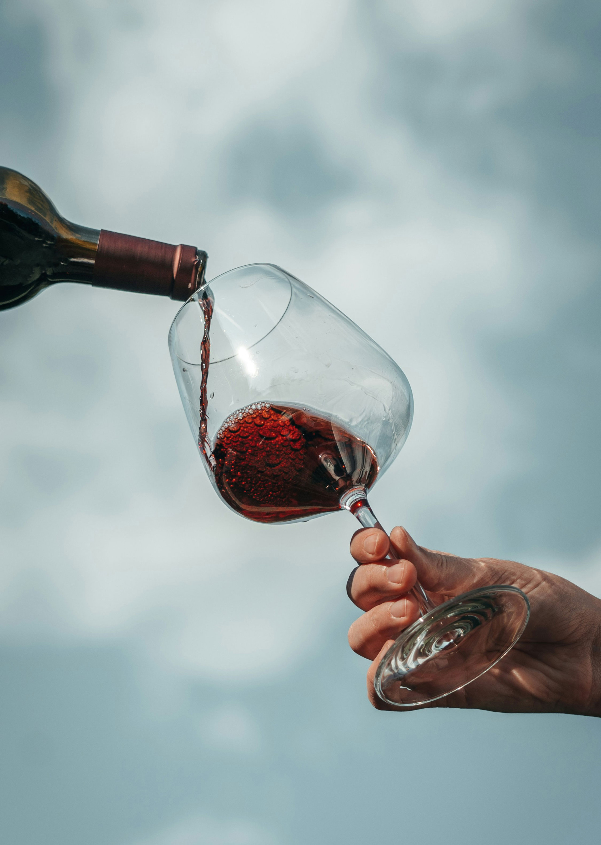 Private Tour: A Sea of Wines