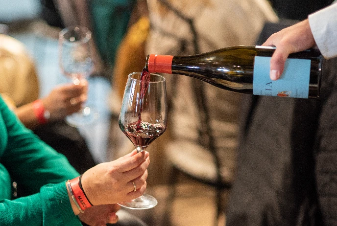 Private Tour: D.O. Madrid: Villages & Wineries