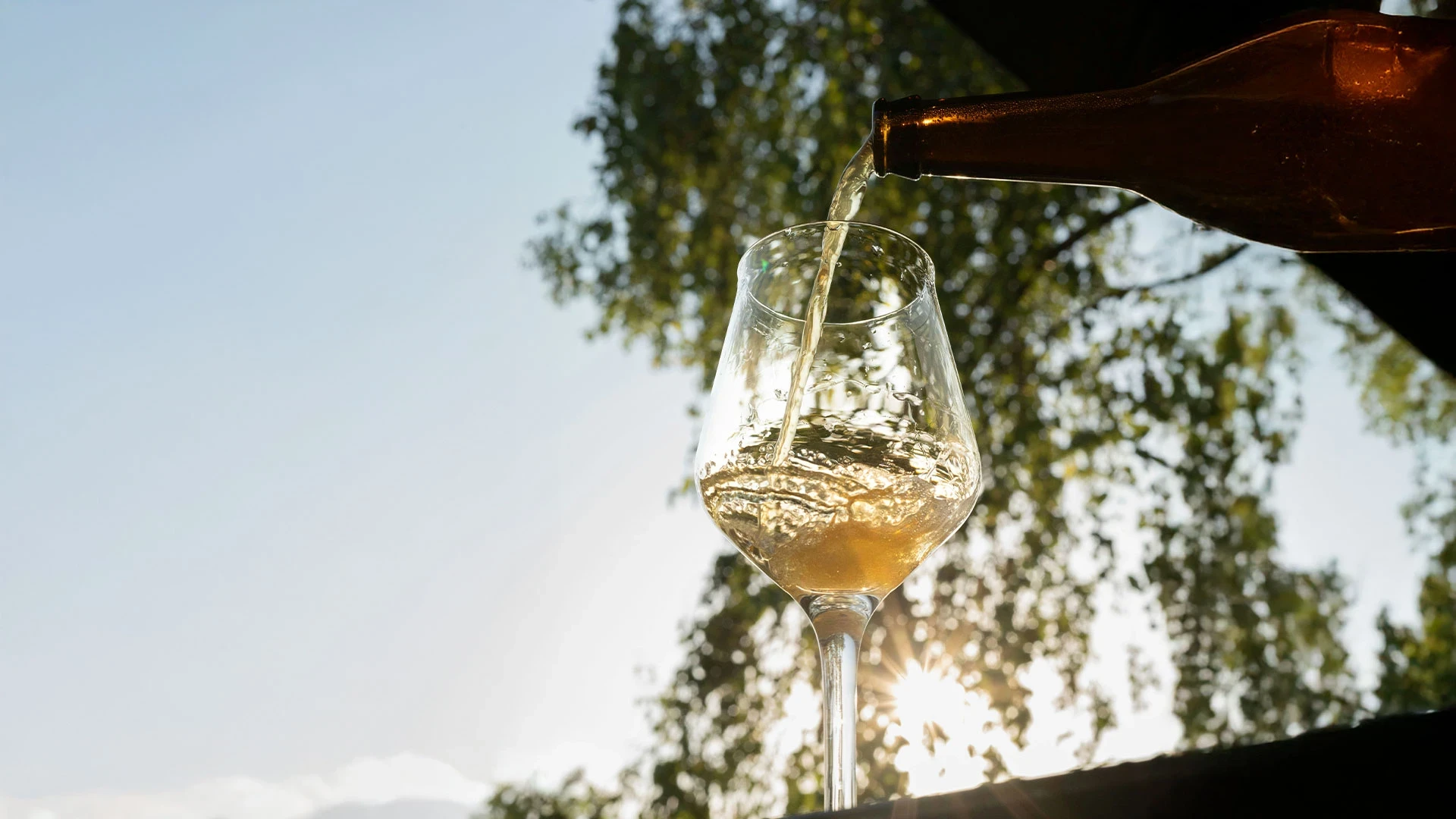 Douro Valley Private Tour: River cruise, Wine Tasting & Gourmet Lunch