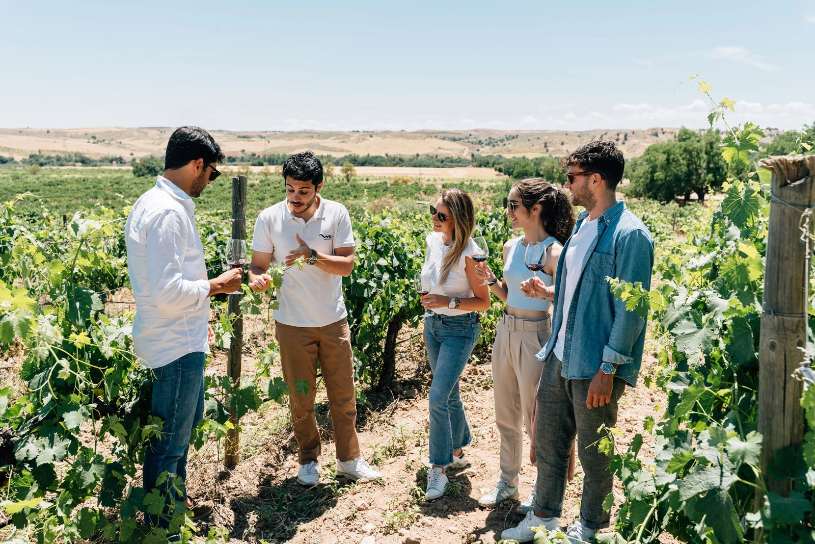 Toledo City Tour & Winery Experience