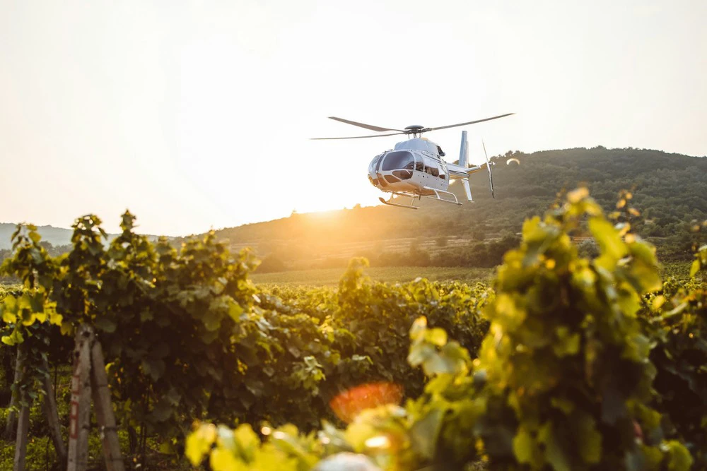 Private Tour: Lisbon Heli-Wine Experience
