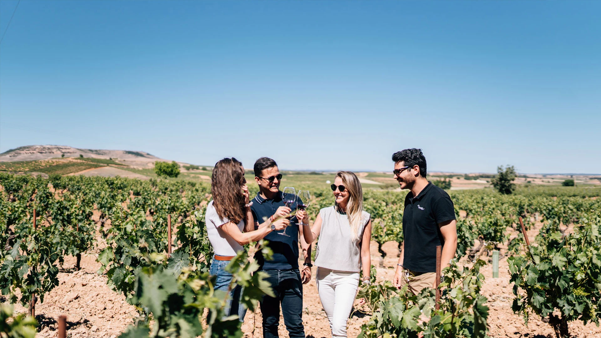 Ribera del Duero Wine Tour Madrid