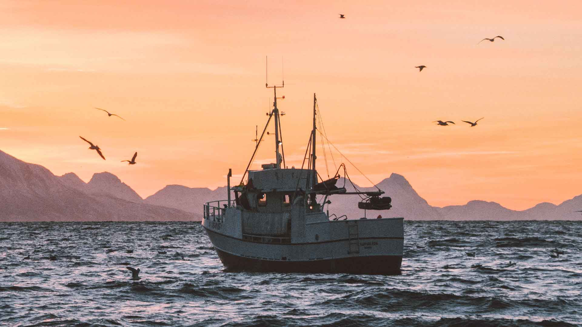 Private Tour: The Barcelona Fish Market