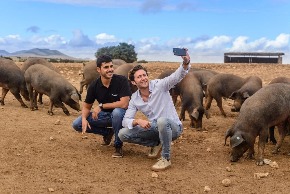 Private Tour: Toledo 4WD and Farm Visit