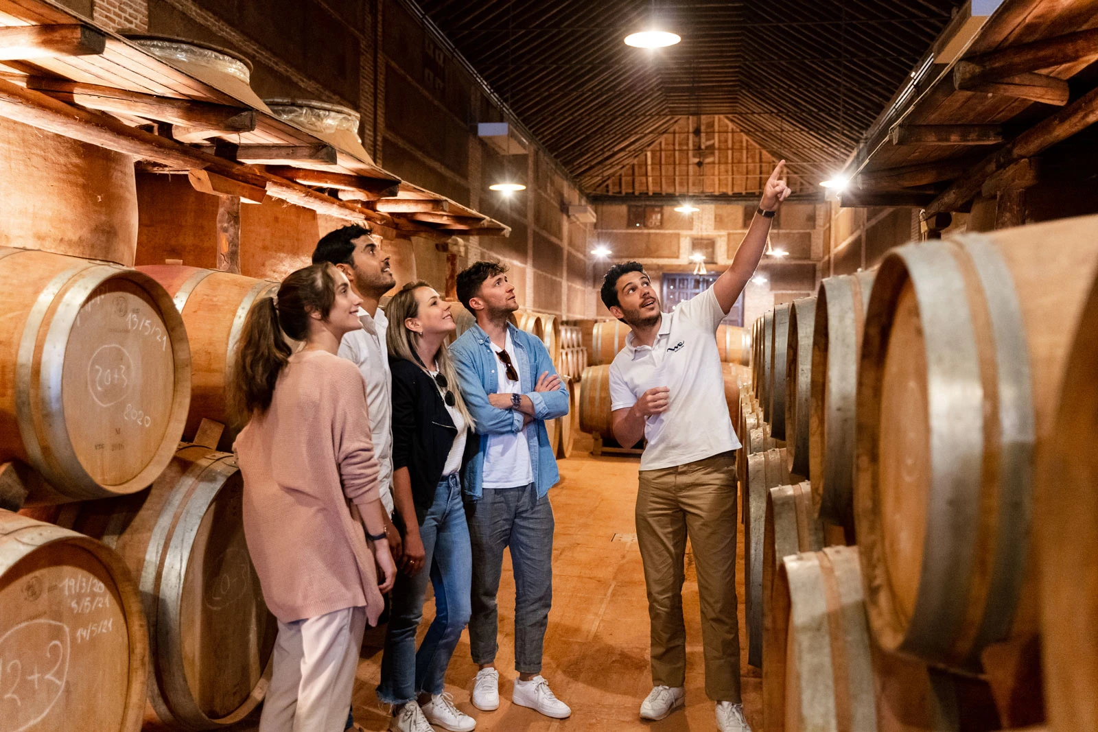 Private Tour: Toledo City Visit & Winery Experience with Wine Tasting from Madrid