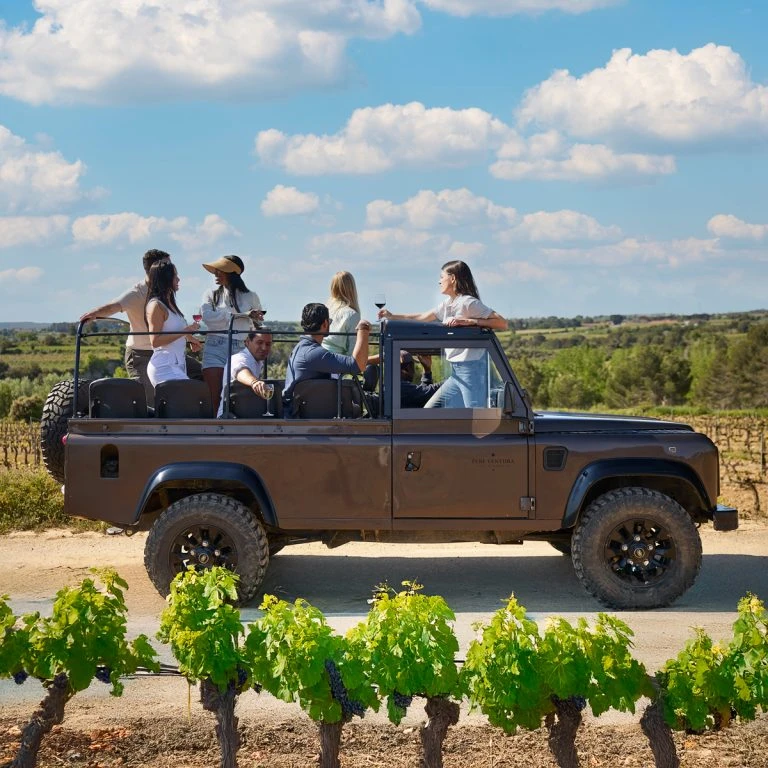 Penedès  Vineyard Tour from Barcelona with Wine and Cava Tasting