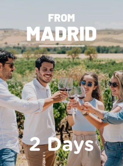 Segovia, Avila & Toledo with Winery visit in 2 days